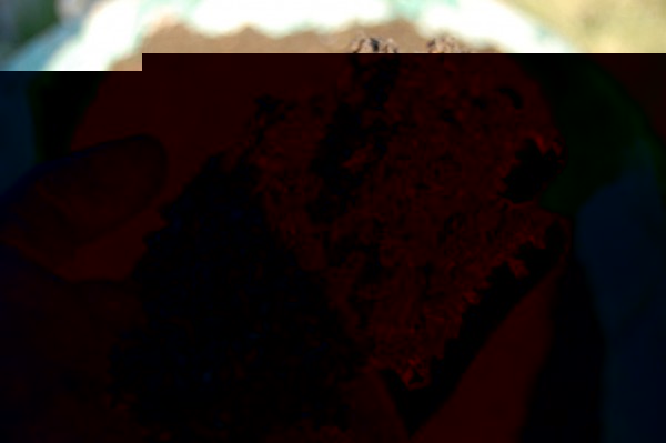 Compost mûr de deux ans